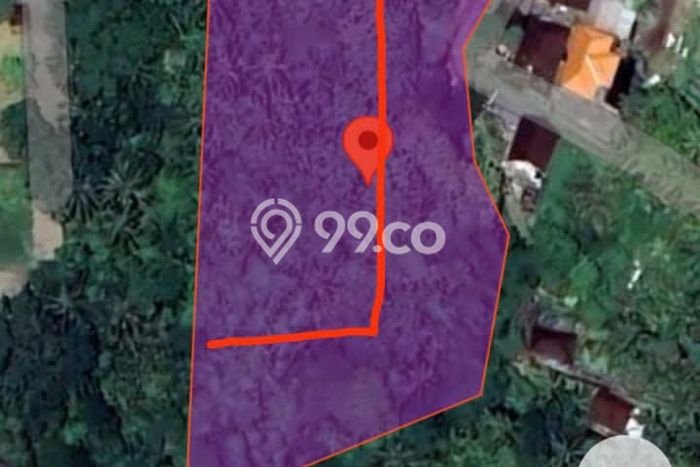 Tanah Kavling untuk Dijual di Tabanan Tabanan 1500m2 Tanah Kavling untuk Dijual di Tabanan Tabanan 1500m2