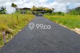 Tanah Kavling Dijual di Seseh, Badung dengan Luas Tanah 300m2 Tanah Kavling Dijual di Seseh, Badung dengan Luas Tanah 300m2