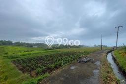 Tanah Kavling untuk Dijual di Selemadeg Tabanan 2750m2 Tanah Kavling untuk Dijual di Selemadeg Tabanan 2750m2