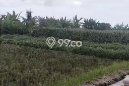 Tanah Strategis Dijual di Tibubiyu Tabanan 500m2 Tanah Strategis Dijual di Tibubiyu Tabanan 500m2