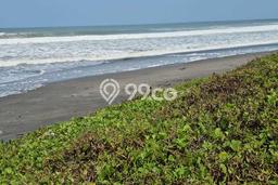 Tanah Komersial Dijual di Kediri Tabanan 6915m2 Tanah Komersial Dijual di Kediri Tabanan 6915m2