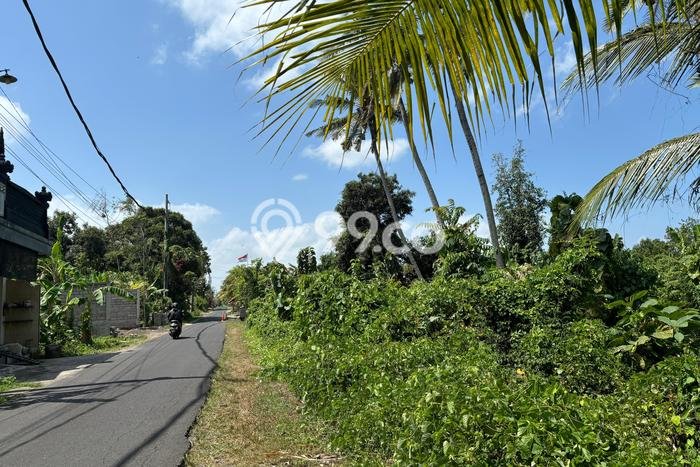 Tanah Kavling untuk Dijual di Tabanan Tabanan 1500m2 Tanah Kavling untuk Dijual di Tabanan Tabanan 1500m2