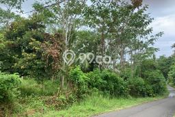 Dijual Tanah 10800m2 di Soka, Tabanan Dijual Tanah 10800m2 di Soka, Tabanan