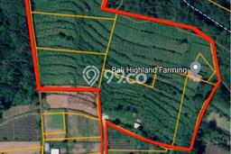 Tanah Siap Bangun Dijual di Tabanan Punya Luas 22599m2 Tanah Siap Bangun Dijual di Tabanan Punya Luas 22599m2