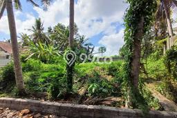 Untuk Dijual Tanah di Ubud Gianyar Luas 1050m2 SHM Untuk Dijual Tanah di Ubud Gianyar Luas 1050m2 SHM