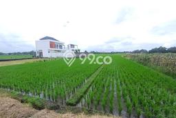 Lahan Dijual Lokasi Strategis di Tabanan dengan Luas 1050m2 Lahan Dijual Lokasi Strategis di Tabanan dengan Luas 1050m2