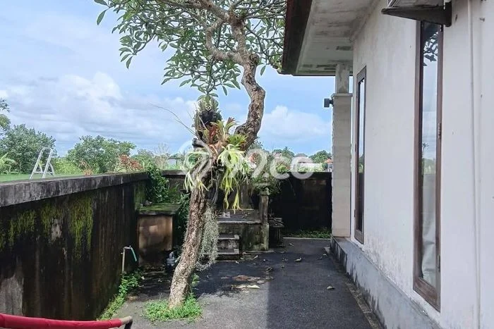 Hunian Nyaman Asri 3 KT Siap Huni di Singapadu Gianyar Hunian Nyaman Asri 3 KT Siap Huni di Singapadu Gianyar