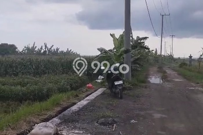 Tanah Strategis Dijual di Tibubiyu Tabanan 500m2 Tanah Strategis Dijual di Tibubiyu Tabanan 500m2