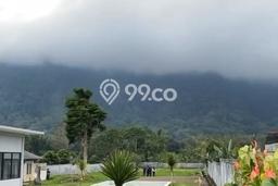 Tanah Dijual di Tabanan Seluas 5000m2 Strategis Tanah Dijual di Tabanan Seluas 5000m2 Strategis