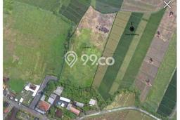 Dijual Tanah Lokasi Kelating, Tabanan Seluas 7200m2 Dijual Tanah Lokasi Kelating, Tabanan Seluas 7200m2