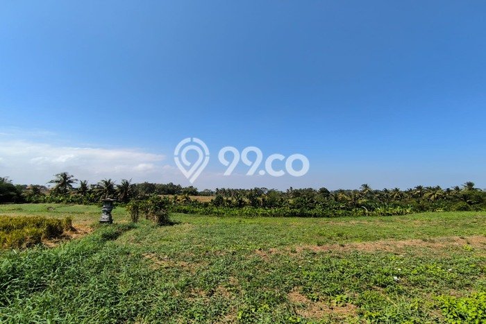 Tanah Kavling Dijual di Tabanan dengan Spesifikasi 150m2 Tanah Kavling Dijual di Tabanan dengan Spesifikasi 150m2