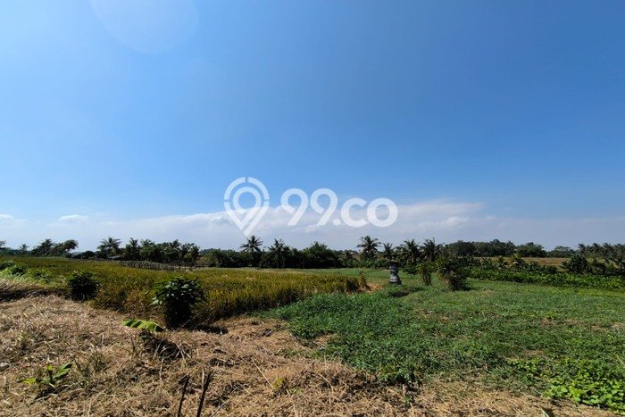 Tanah Kavling Dijual di Tabanan dengan Spesifikasi 150m2 Tanah Kavling Dijual di Tabanan dengan Spesifikasi 150m2