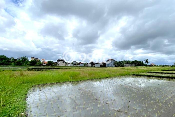 Tanah Dijual di Tabanan Seluas 100m2 Strategis Tanah Dijual di Tabanan Seluas 100m2 Strategis