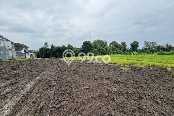 Tanah Kavling Dijual di Gianyar dengan Spesifikasi 100m2 Tanah Kavling Dijual di Gianyar dengan Spesifikasi 100m2