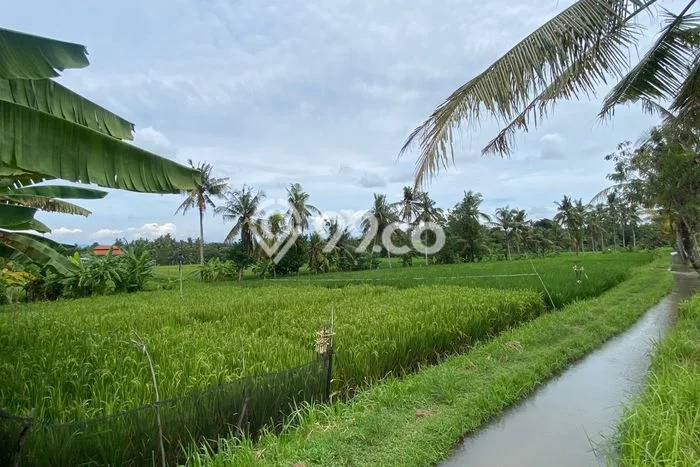 Tanah Kavling Dijual di Gubug, Tabanan dengan Luas Tanah 200m2 Tanah Kavling Dijual di Gubug, Tabanan dengan Luas Tanah 200m2