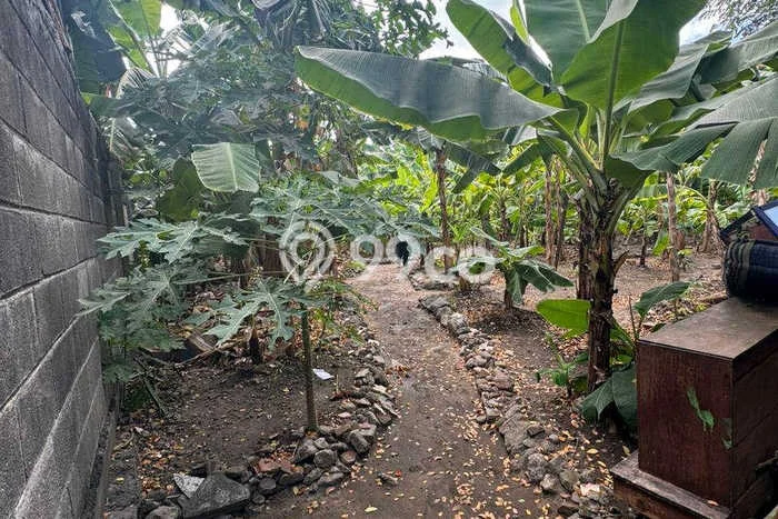 Kavling Tanah Dijual di Mulyorejo Surabaya Spesifikasi 900m2 Kavling Tanah Dijual di Mulyorejo Surabaya Spesifikasi 900m2