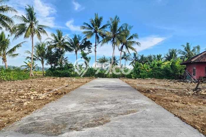 HOT DEAL! Tanah di Pengasih, Luas 169m², Lokasi Strategis HOT DEAL! Tanah di Pengasih, Luas 169m², Lokasi Strategis