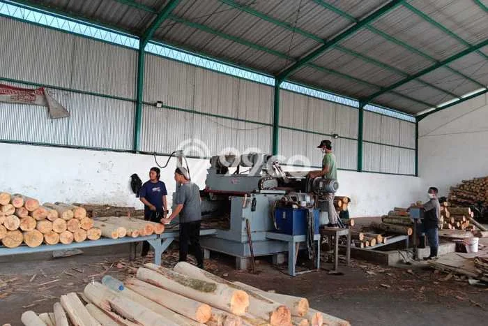 Unit Pabrik Dijual di Kaliwates Jember Luas Tanah 10570m2, Luas Bangunan 1695m2 Unit Pabrik Dijual di Kaliwates Jember Luas Tanah 10570m2, Luas Bangunan 1695m2