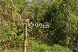Tanah Dijual Lokasi Cerme Gresik SHM Tanah Dijual Lokasi Cerme Gresik SHM