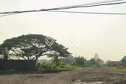 Tanah Dijual Lokasi Kedamean, Gresik dengan Luas Tanah 10320m2 dan Status SHM Tanah Dijual Lokasi Kedamean, Gresik dengan Luas Tanah 10320m2 dan Status SHM
