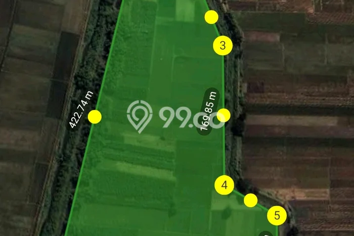 Dijual Tanah Lokasi Bandar Kedungmulyo, Jombang Seluas 62000m2 Dijual Tanah Lokasi Bandar Kedungmulyo, Jombang Seluas 62000m2