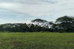 Tanah Kavling Dijual di Surabaya dengan Spesifikasi 1950m2 Tanah Kavling Dijual di Surabaya dengan Spesifikasi 1950m2