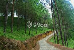 Tanah Kosong Dijual di Mojokerto dengan Area 30000m2 Tanah Kosong Dijual di Mojokerto dengan Area 30000m2