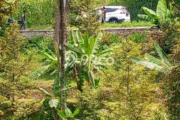 Tanah Strategis Dijual di Wonosalam Jombang 18000m2 Tanah Strategis Dijual di Wonosalam Jombang 18000m2