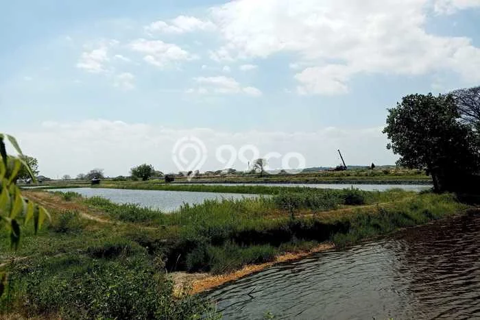 Tanah Strategis Dijual di Manyar Gresik 20000m2 Tanah Strategis Dijual di Manyar Gresik 20000m2