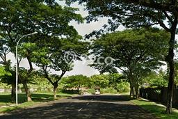 Dijual Tanah di Surabaya, Luas 900m2 SHM Dijual Tanah di Surabaya, Luas 900m2 SHM