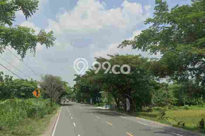 Kavling Tanah di Widang Dijual Luas 43000m2 Legalitas SHM Kavling Tanah di Widang Dijual Luas 43000m2 Legalitas SHM