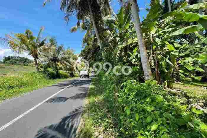 Dijual Tanah Lokasi Beraban, Tabanan Seluas 360m2 Dijual Tanah Lokasi Beraban, Tabanan Seluas 360m2