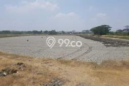 Tanah di Bungah, Gresik Luas 30284m2 Dijual Segera Tanah di Bungah, Gresik Luas 30284m2 Dijual Segera