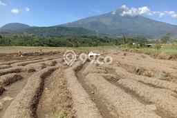 Jarang Ada! Tanah di Pacet Punya Luas 2850m2 SHM Jarang Ada! Tanah di Pacet Punya Luas 2850m2 SHM