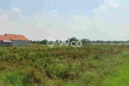 Tanah Dijual Lokasi Wiyung Surabaya SHM Tanah Dijual Lokasi Wiyung Surabaya SHM