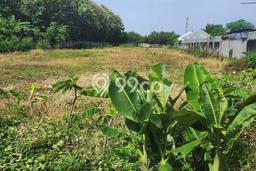 Dijual Tanah Lokasi Mojokerto, Mojokerto Seluas 5168m2 Dijual Tanah Lokasi Mojokerto, Mojokerto Seluas 5168m2