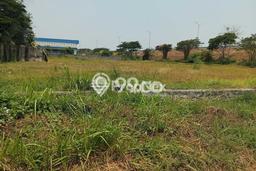Kavling Tanah Dijual di Balongpanggang Gresik Spesifikasi 10000m2 Kavling Tanah Dijual di Balongpanggang Gresik Spesifikasi 10000m2