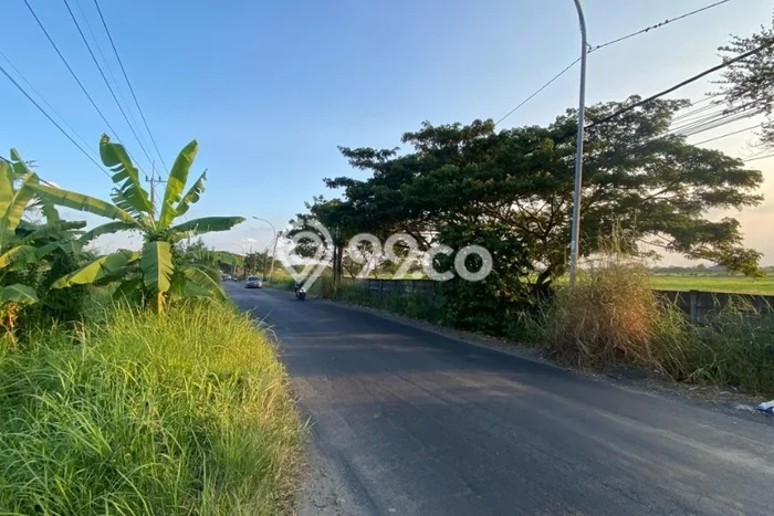 Disewakan Tanah Lokasi Strategis di Lakarsantri Surabaya 7000m2 Disewakan Tanah Lokasi Strategis di Lakarsantri Surabaya 7000m2