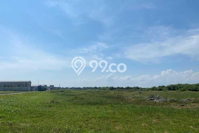 Kavling Tanah Dijual di Balongpanggang Gresik Spesifikasi 10000m2 Kavling Tanah Dijual di Balongpanggang Gresik Spesifikasi 10000m2