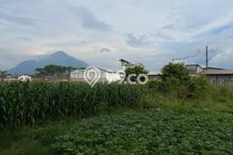 Lahan Kosong Dijual di Pungging, Mojokerto, Luas 26000m2 Area Strategis Lahan Kosong Dijual di Pungging, Mojokerto, Luas 26000m2 Area Strategis