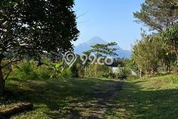 Vila Terawat Kawasan Trawas, Luas 35000m2m², Kawasan Tenang dan nyaman Vila Terawat Kawasan Trawas, Luas 35000m2m², Kawasan Tenang dan nyaman