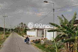 Tanah Dijual Lokasi Jetis, Mojokerto Luas 13000m2 Legalitas Aman Tanah Dijual Lokasi Jetis, Mojokerto Luas 13000m2 Legalitas Aman
