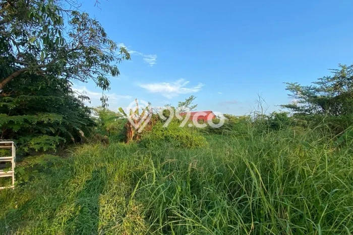 Disewakan Tanah Lokasi Strategis di Lakarsantri Surabaya 7000m2 Disewakan Tanah Lokasi Strategis di Lakarsantri Surabaya 7000m2