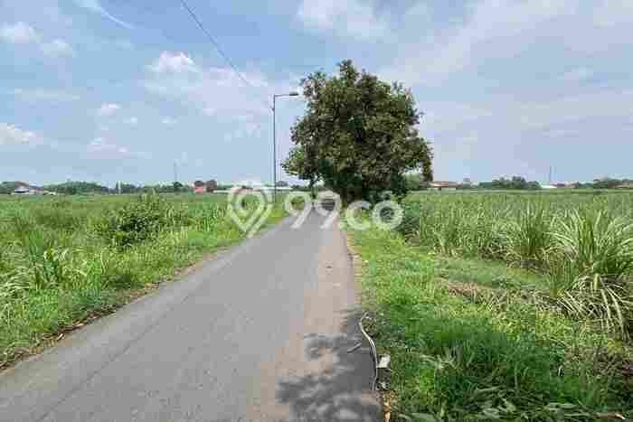 Lahan Dijual Lokasi Trowulan, Mojokerto dengan Luas Tanah 27000m2 dan Status SHM Lahan Dijual Lokasi Trowulan, Mojokerto dengan Luas Tanah 27000m2 dan Status SHM