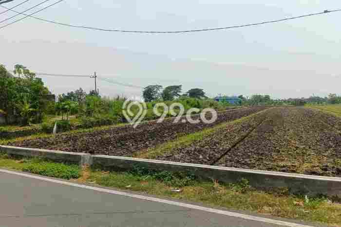 Kavling Tanah Dijual di Bangsal Mojokerto Spesifikasi 4234m2 Kavling Tanah Dijual di Bangsal Mojokerto Spesifikasi 4234m2