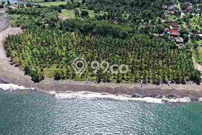 Lahan Kosong Dijual di Melaya, Jembrana, Luas 25700m2 Area Strategis Lahan Kosong Dijual di Melaya, Jembrana, Luas 25700m2 Area Strategis