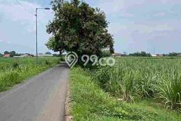Tanah Kavling untuk Dijual di Trowulan Mojokerto 27000m2 Tanah Kavling untuk Dijual di Trowulan Mojokerto 27000m2