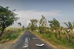 Lahan Dijual Lokasi Gondang, Nganjuk dengan Luas Tanah 167000m2 dan Status SHM Lahan Dijual Lokasi Gondang, Nganjuk dengan Luas Tanah 167000m2 dan Status SHM