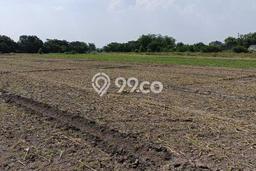 Tanah Strategis Dijual di Ngoro Jombang 80000m2 Tanah Strategis Dijual di Ngoro Jombang 80000m2