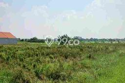 Tanah di Kebomas, Gresik Luas 30000m2 Dijual Segera Tanah di Kebomas, Gresik Luas 30000m2 Dijual Segera